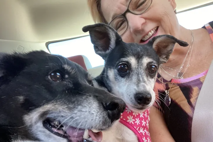 North Star Animal Hospital At Estrella