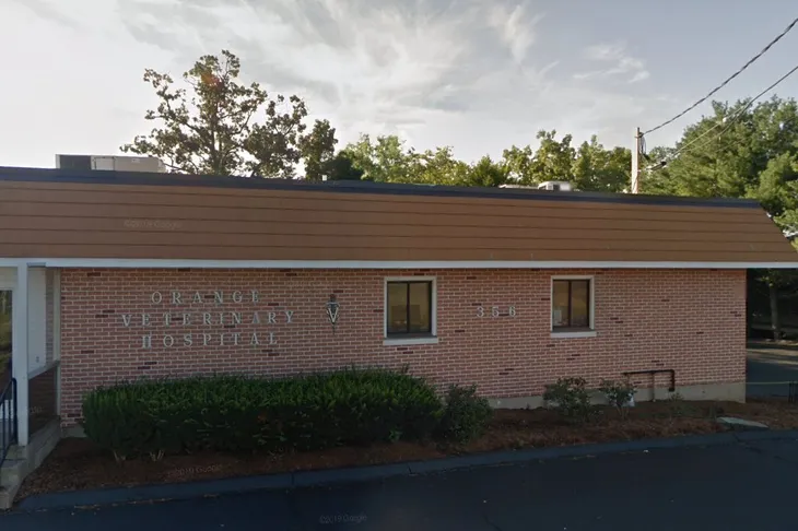 Orange Veterinary Hospital