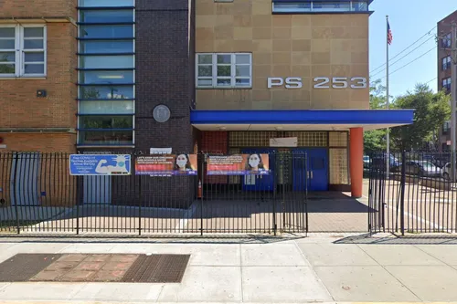 PS 253 School