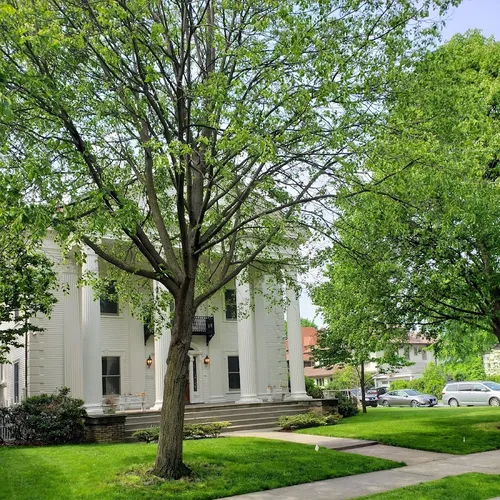PS 245 School
