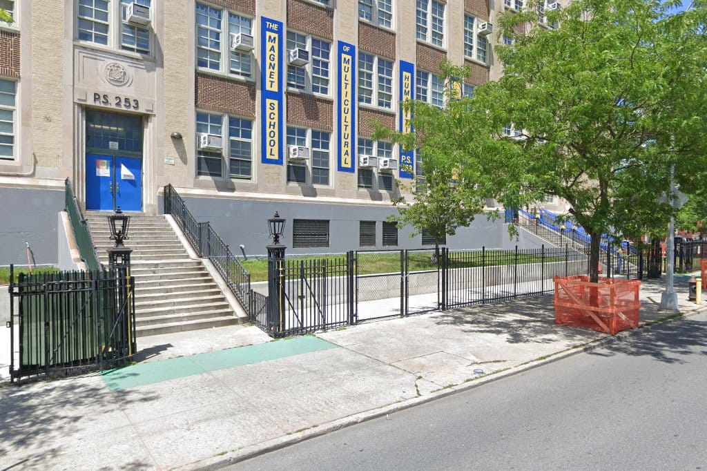 PS 253 School