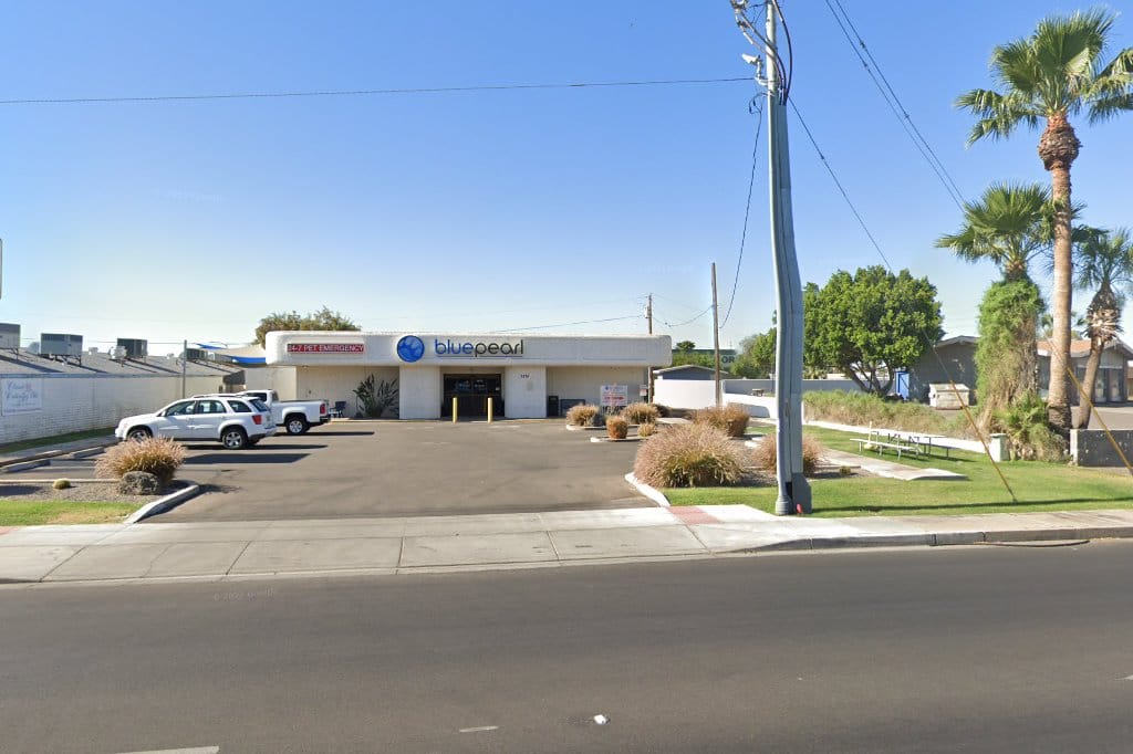 BluePearl Veterinary Partners