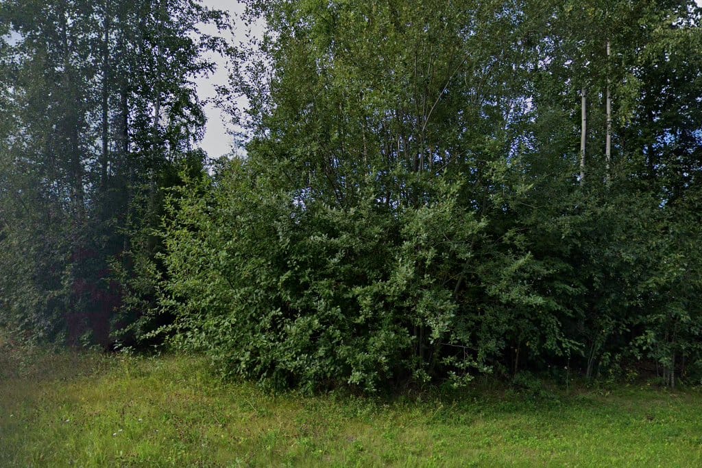Chugiak Elementary School