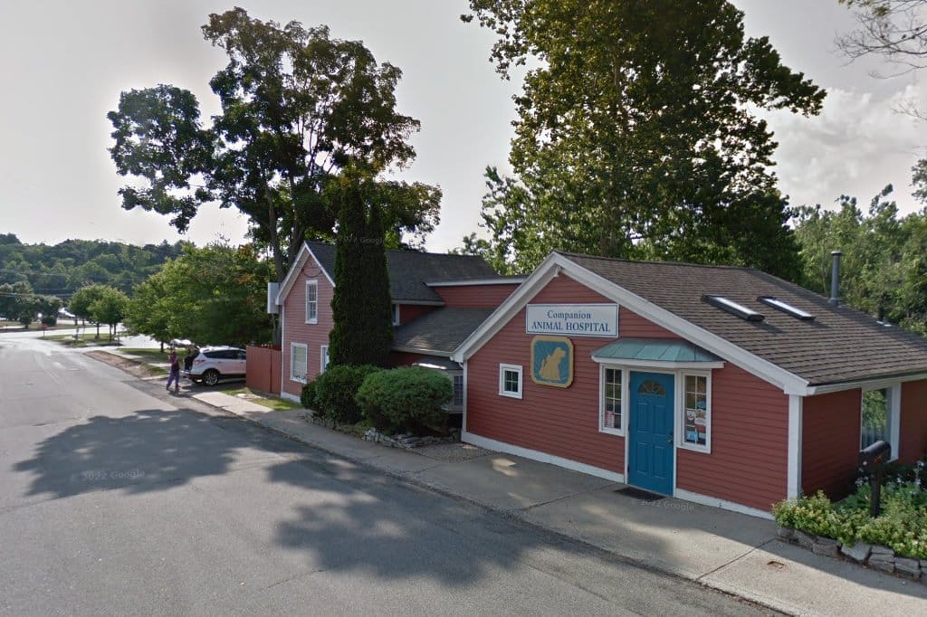 Companion Animal Hospital