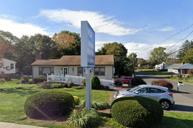 VCA Animal Hospital of Vernon