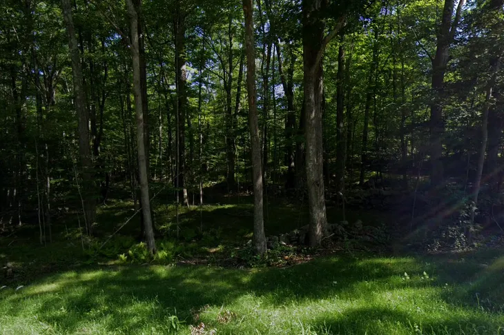 Storrs Animal Shelter