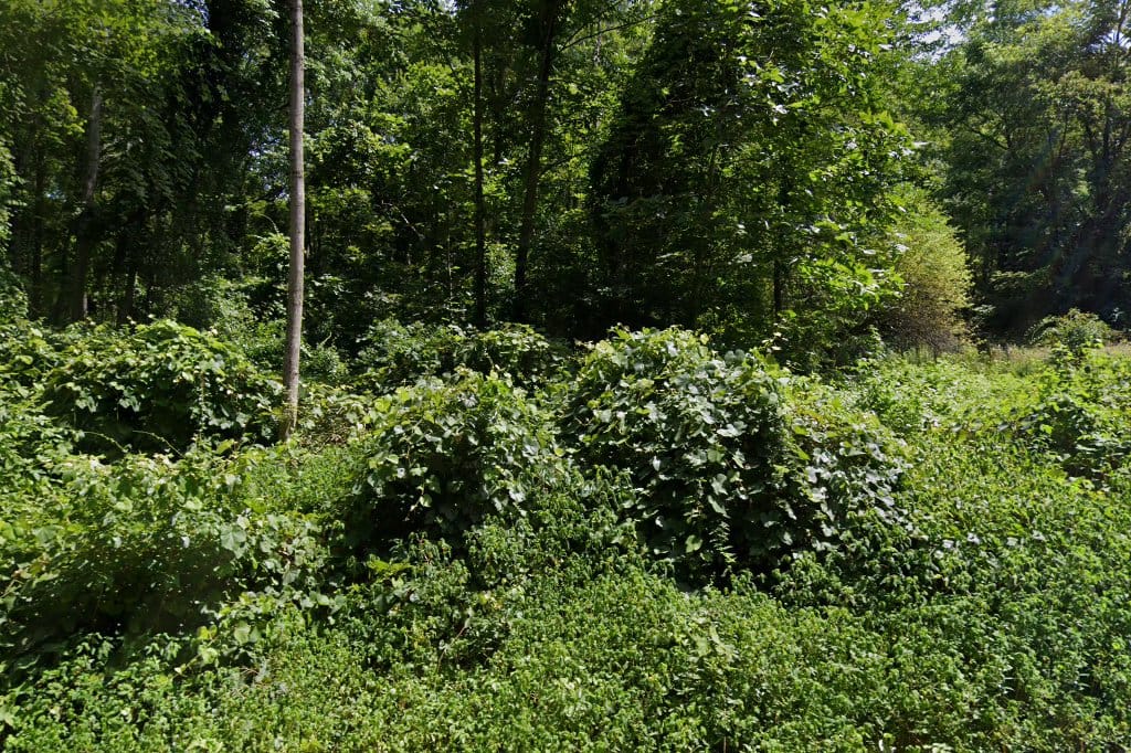 Animal Shelter in Windham County, CT The County Office