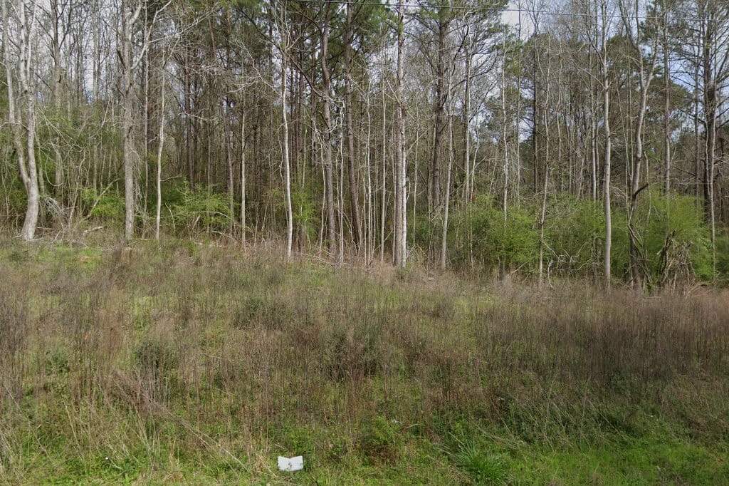 Bassfield High School