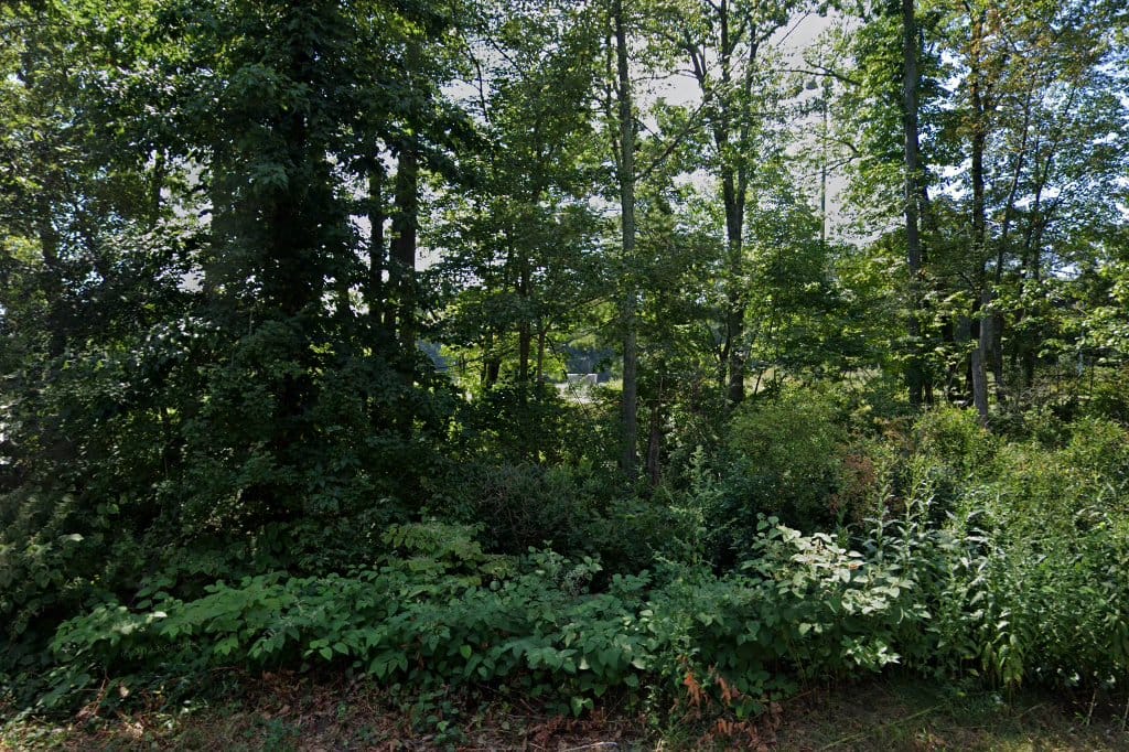 Woodland Academy