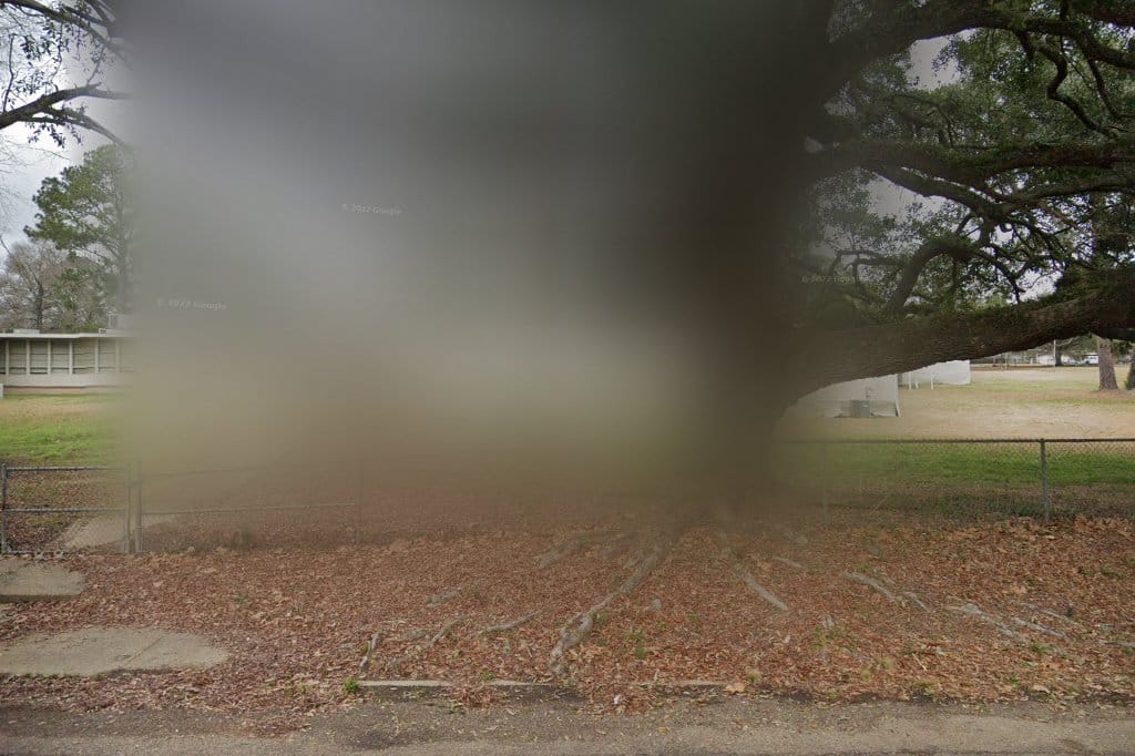 Lee Elementary School