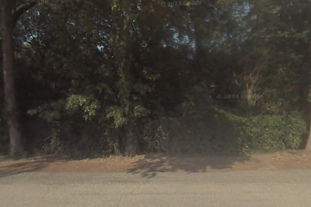 Ivy Street School
