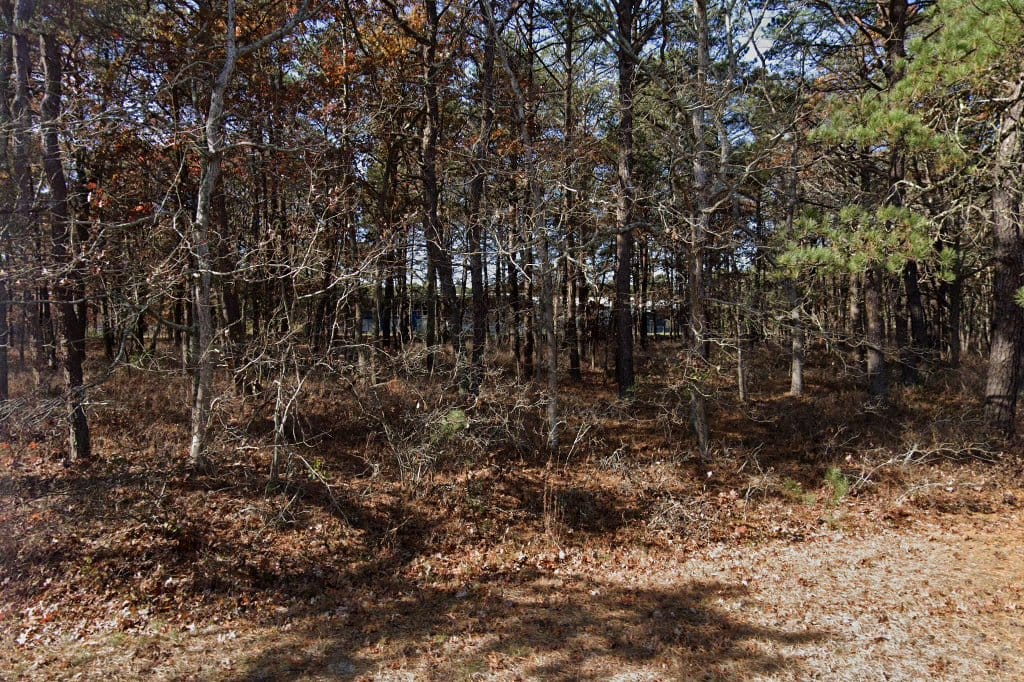Child Development Center of the Hamptons