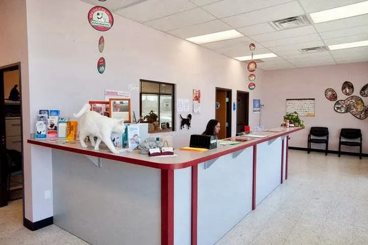 Angel Animal Hospital