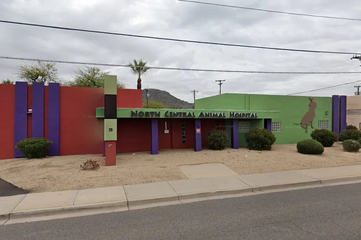 Arizona's Avian Specialist Clinic And Hospitals