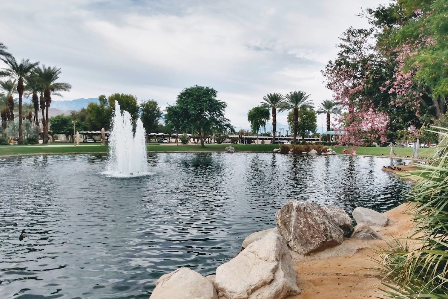 Goodwill Palm Desert