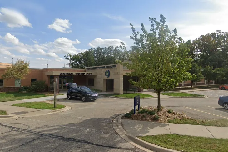 Kent County Animal Shelter