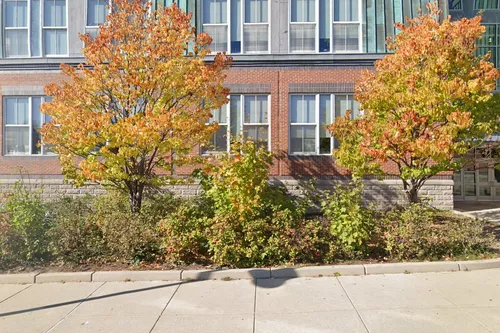 John W McDevitt Middle School
