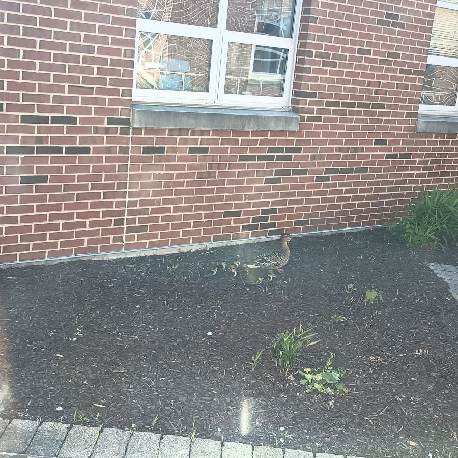 Addison Trail High School
