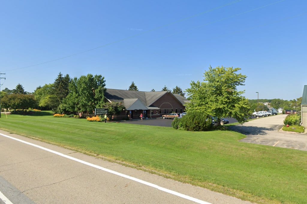 Southkent Veterinary Hospitals