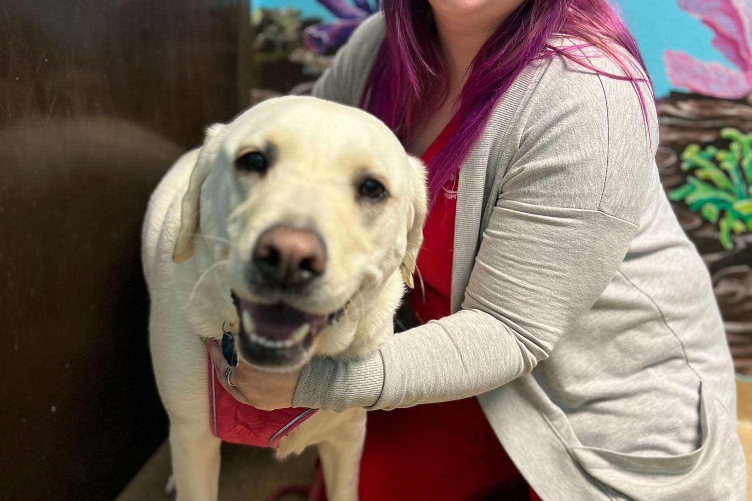 Branson Veterinary Hospital