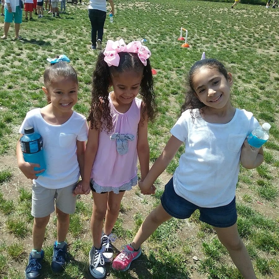 MD Fox Compact School