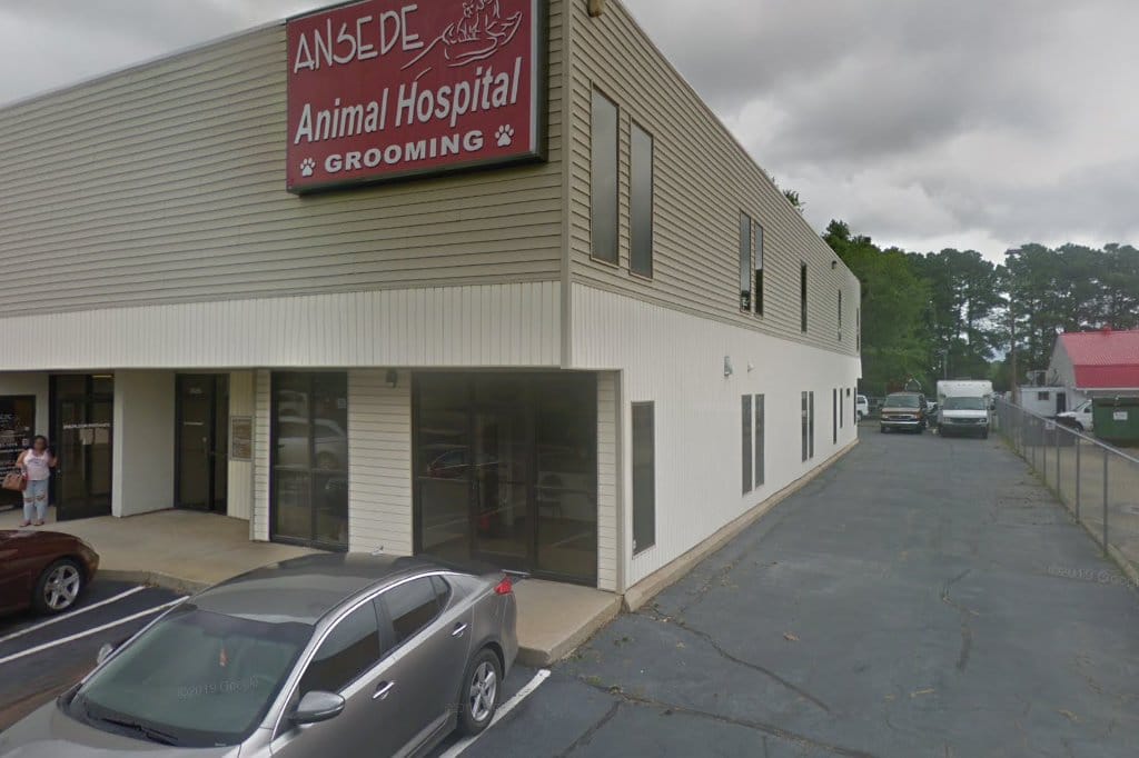 Animal Hospitals in Raleigh, NC Pets TheCountyOffice