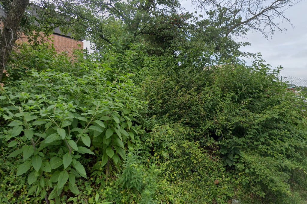 Berwyn Heights Elementary School
