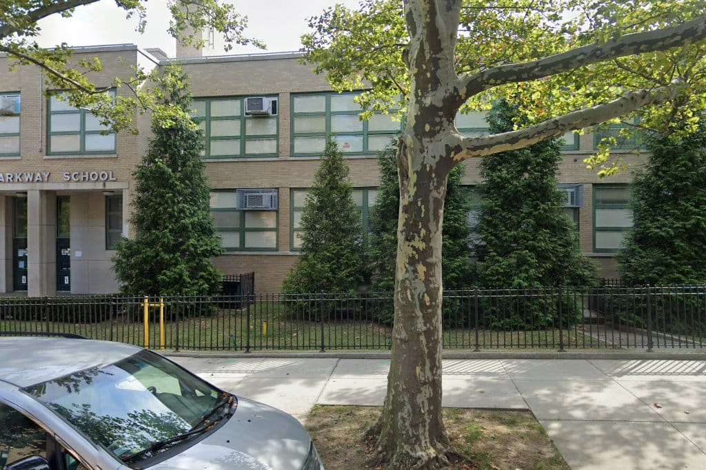 Public School 196
