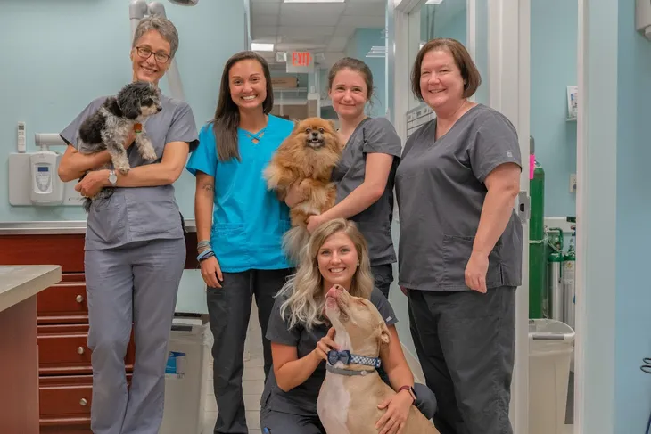 Harmony Animal Hospital