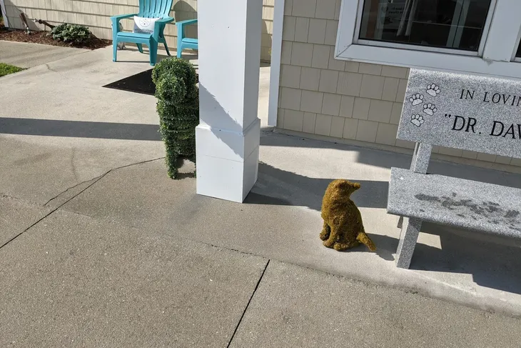 Mitchell Village Animal Hospital