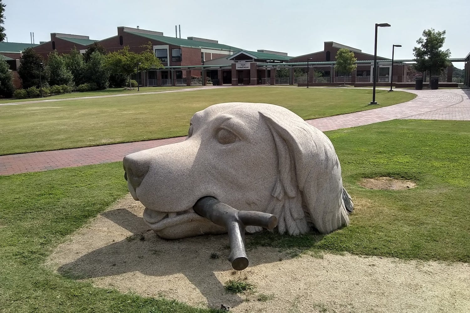 NCSU Veterinary Teaching Hospital