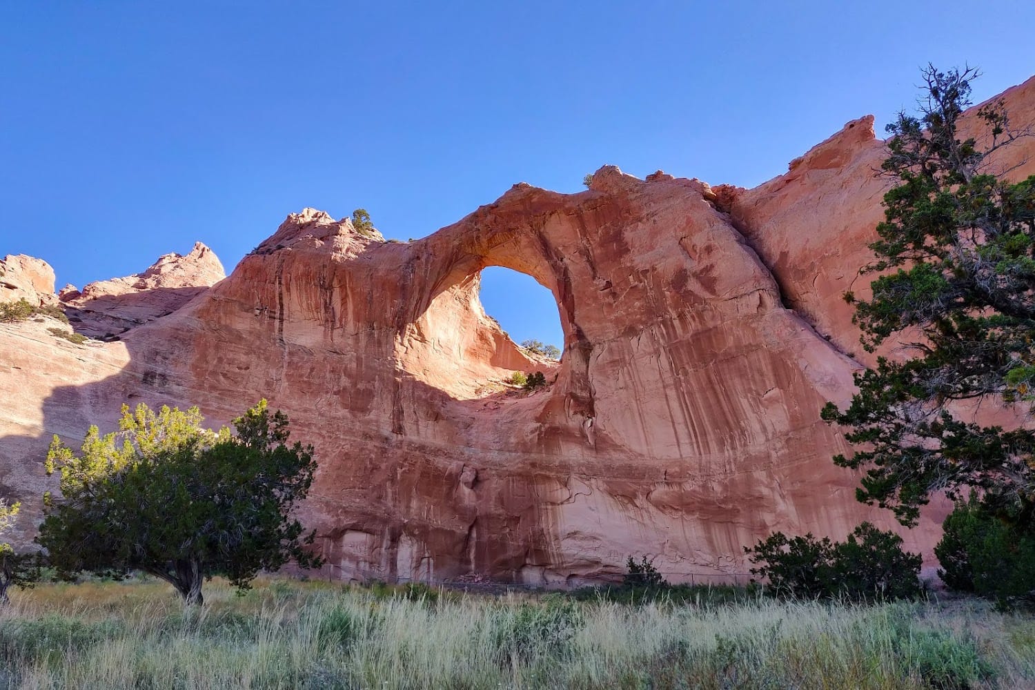 Window Rock MVD Office