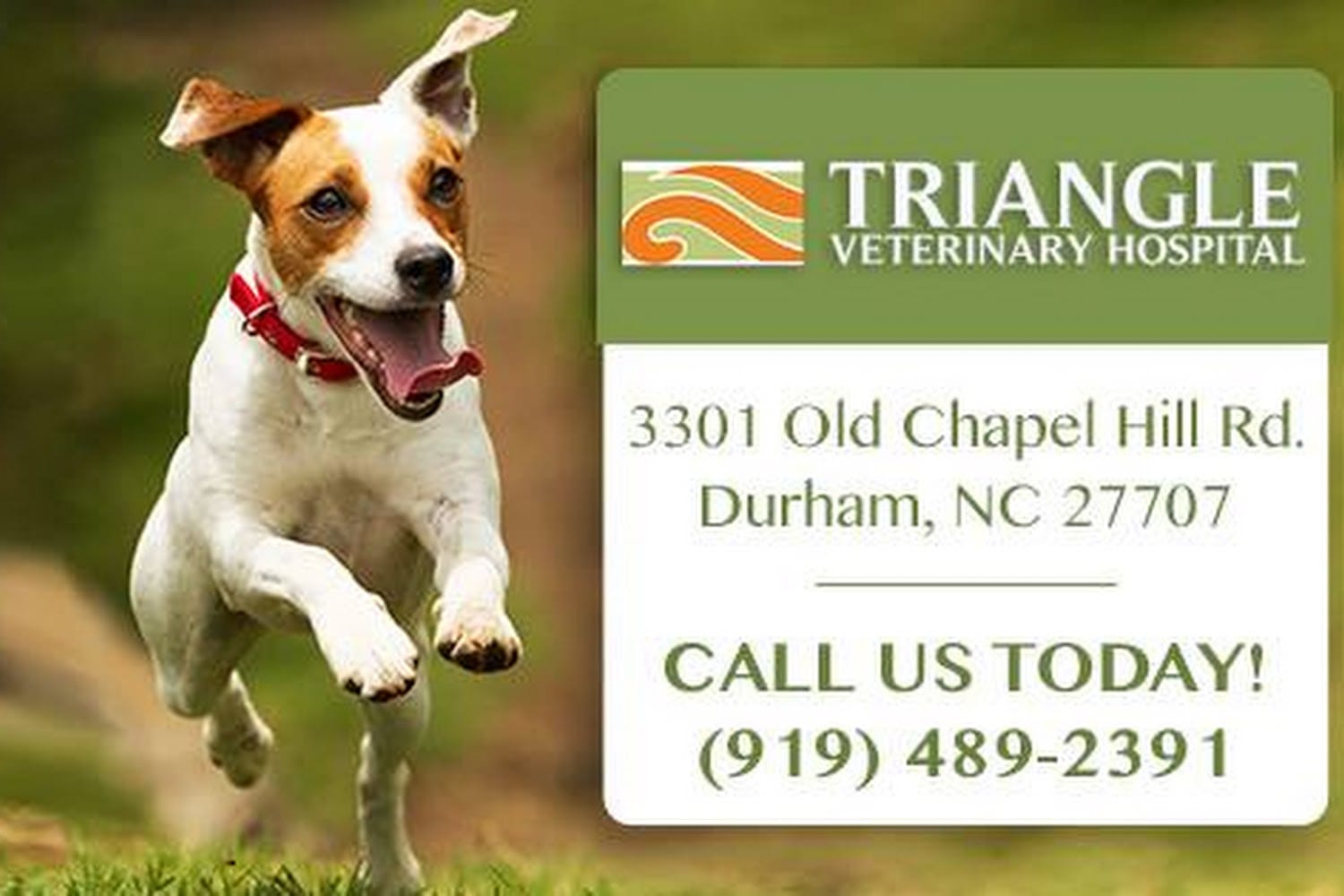 Triangle Veterinary