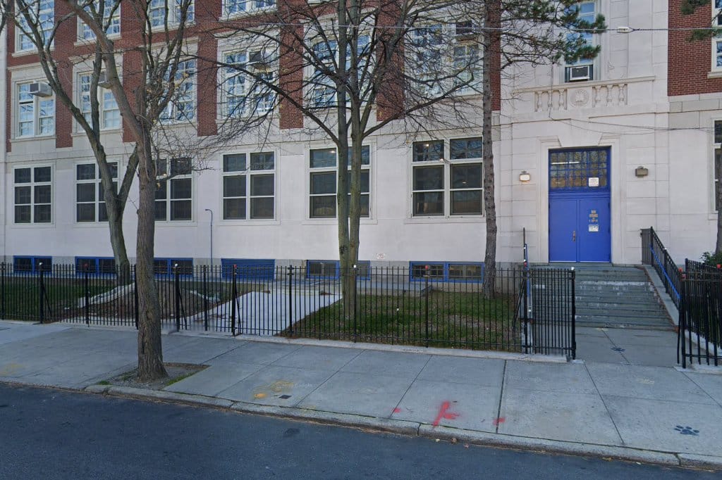 Mill Basin Public School 236