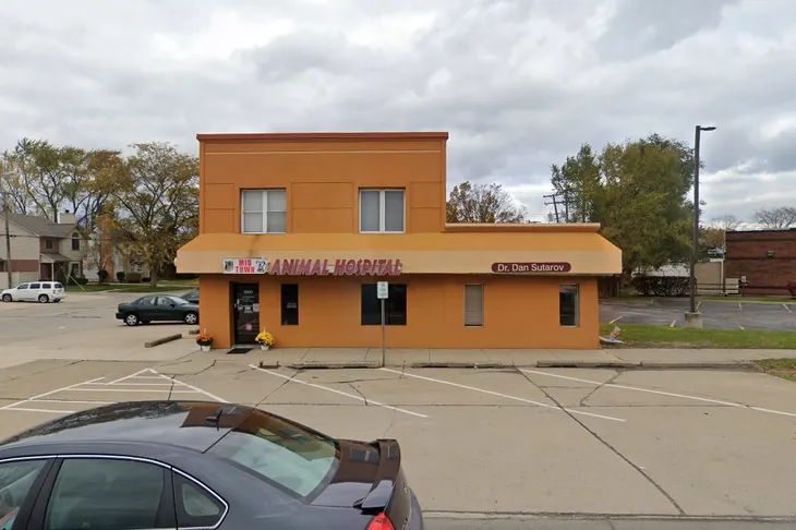 Midtown Animal Hospital