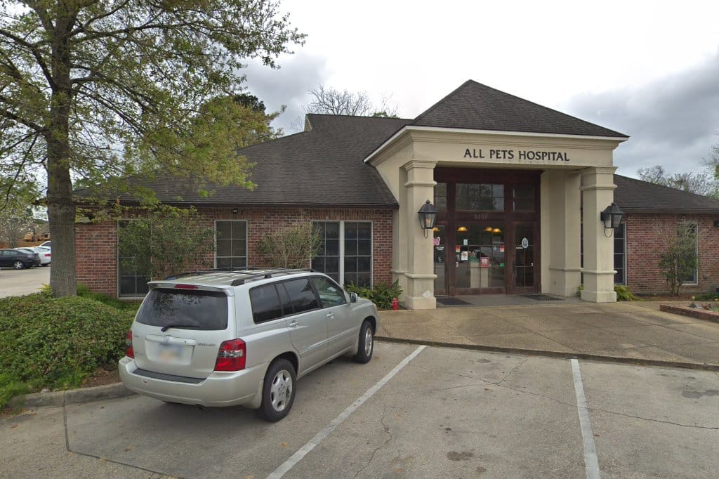 All Pets Hospital