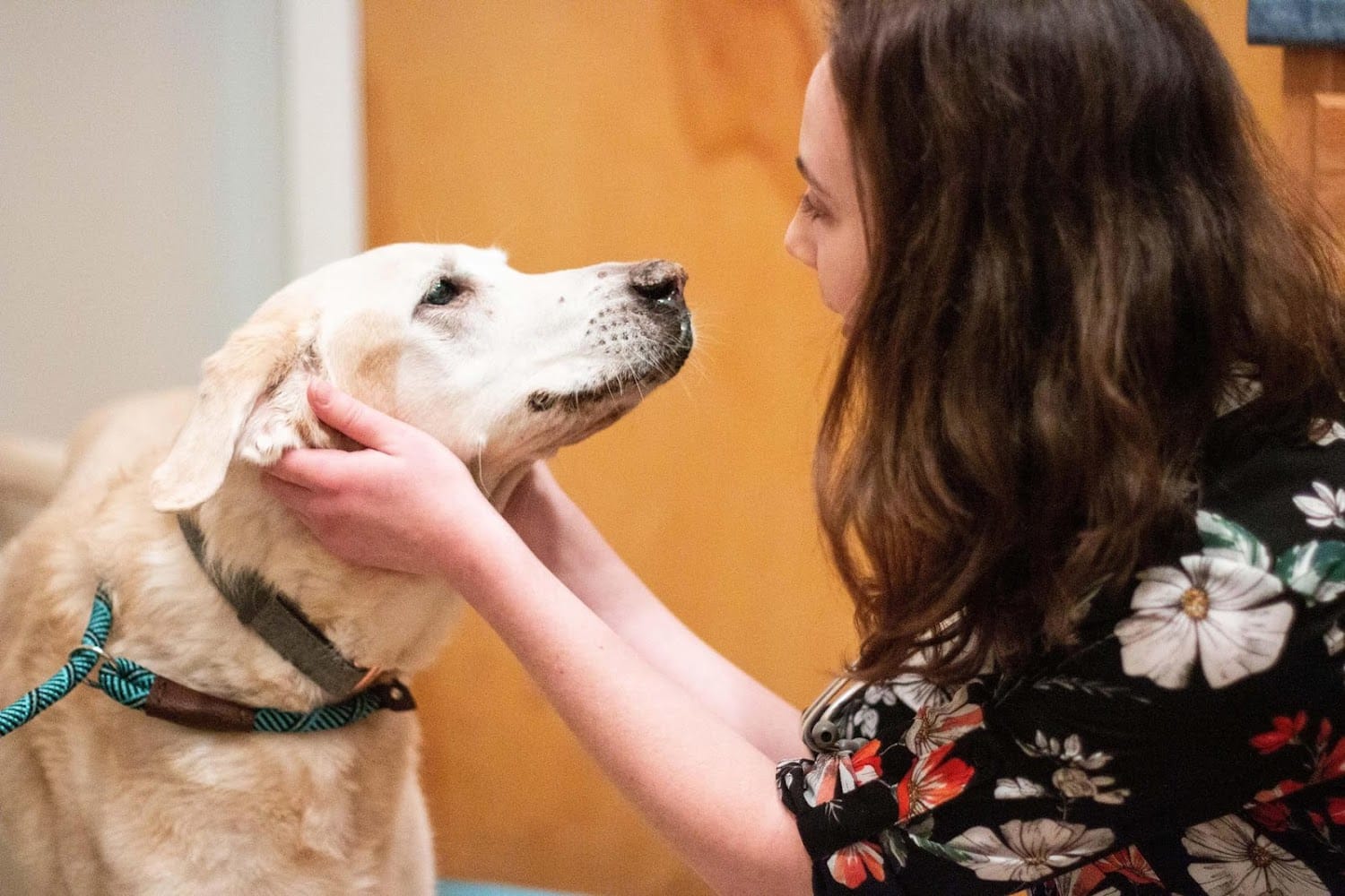 TotalBond Veterinary Hospital