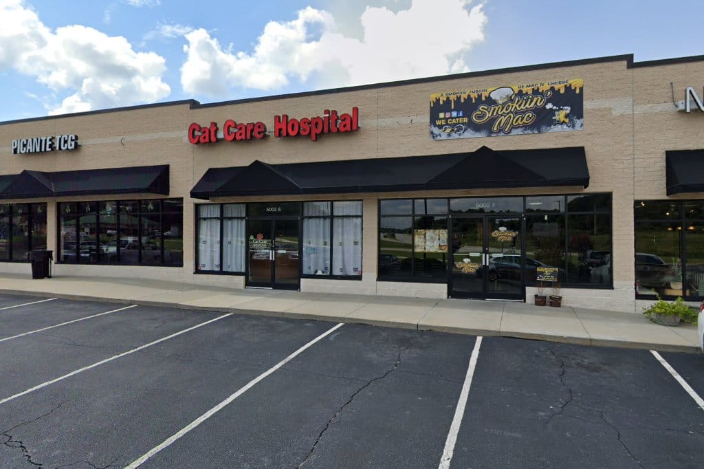 Cat Care Hospital