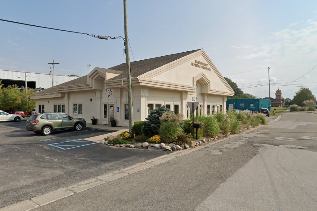Harborfront Hospital For Animals