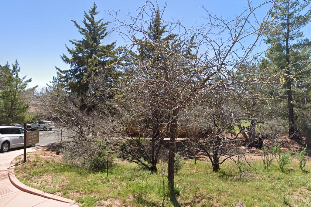 Sedona Charter School