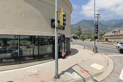 Phoenix Pharmacy