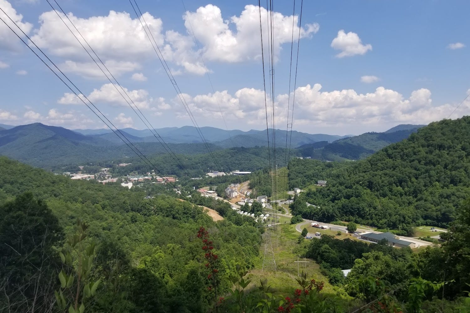 Dejohnston County Animal Control Nc