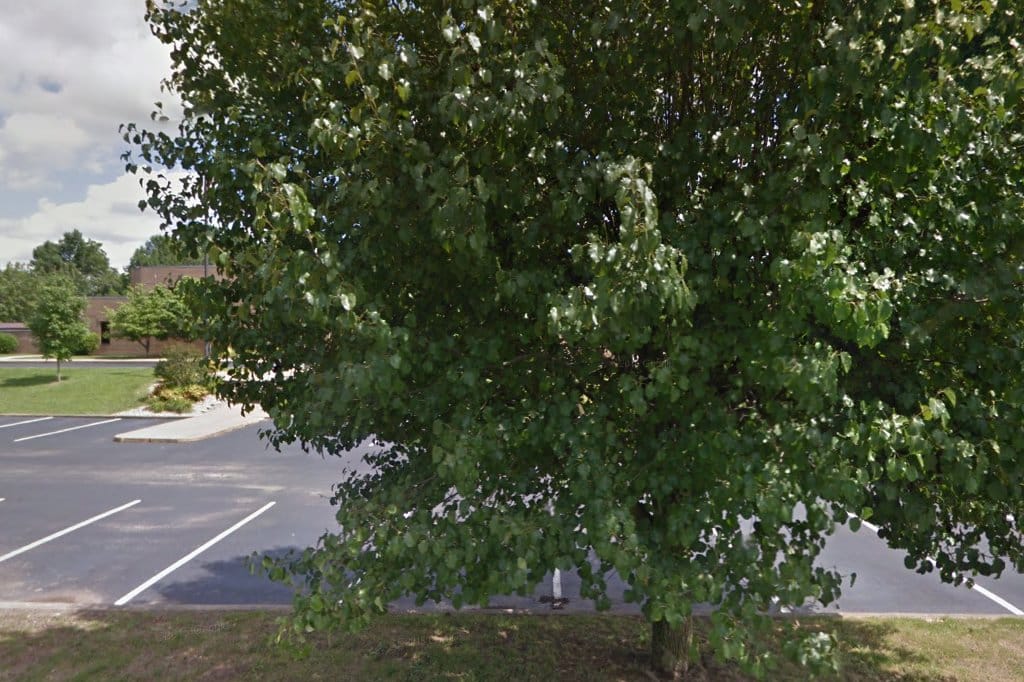 South Green Elementary School