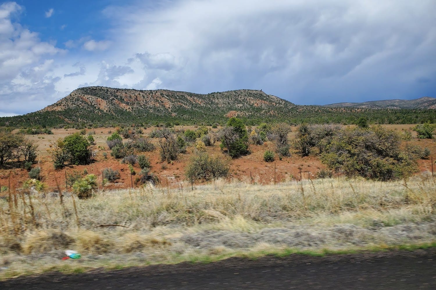 White Mountain Apache Tribe