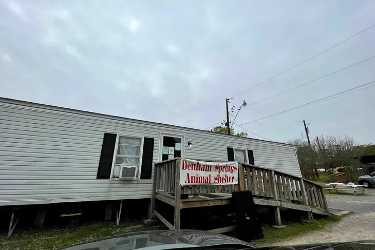Denham Springs Animal Control