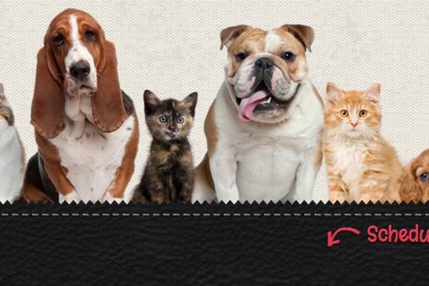 Animal Hospital of Richmond