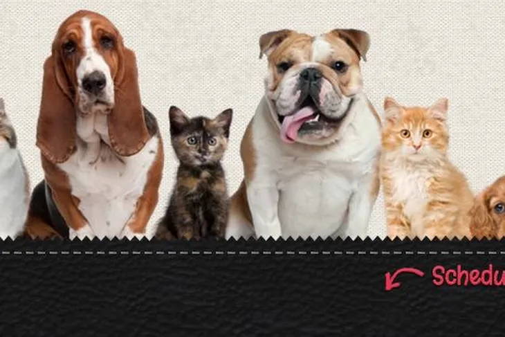 Animal Hospital of Richmond