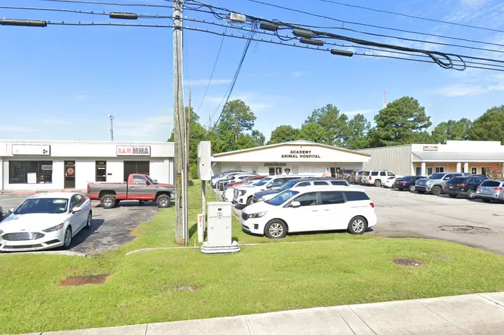 Academy Animal Hospital