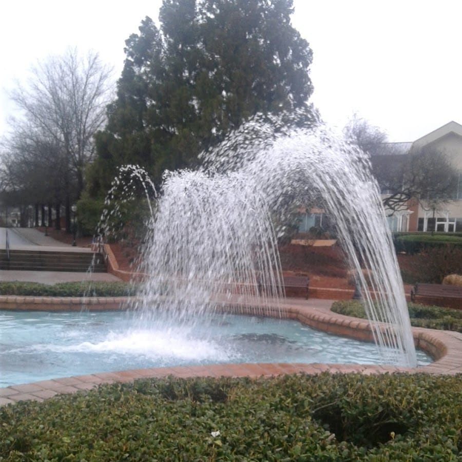 Smyrna Public Library