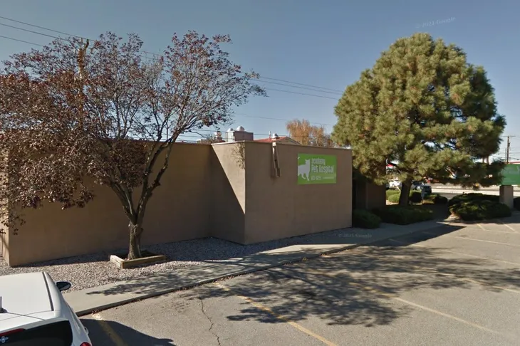 Academy Pet Hospital